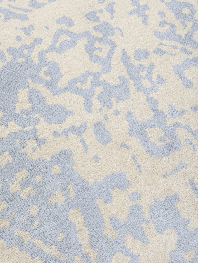 Contemporary Transitions