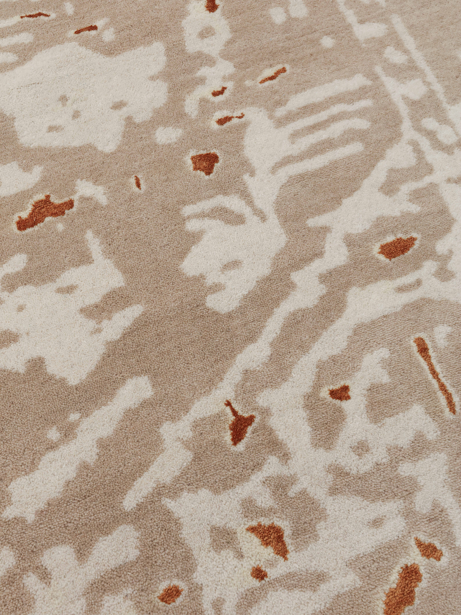 Contemporary Transitions