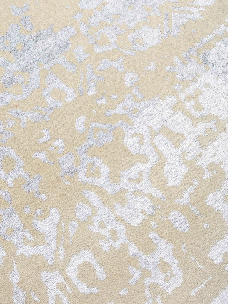 Contemporary Transitions