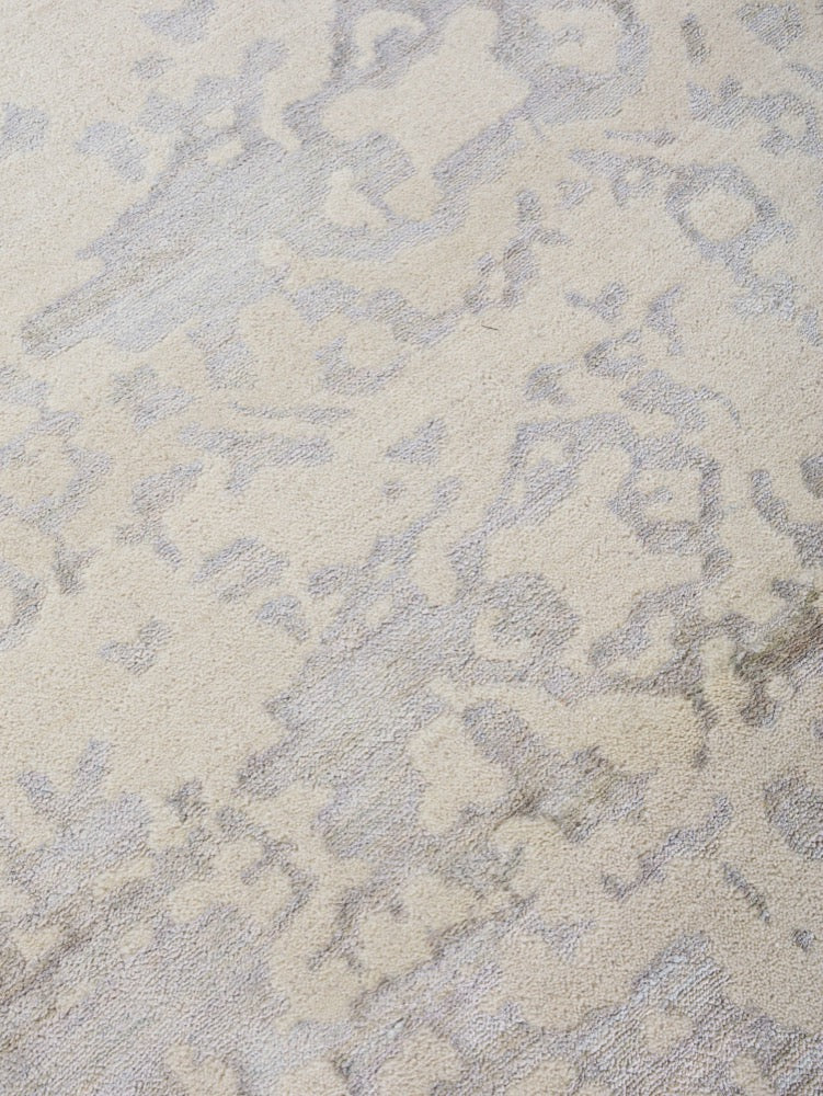 Contemporary Transitions