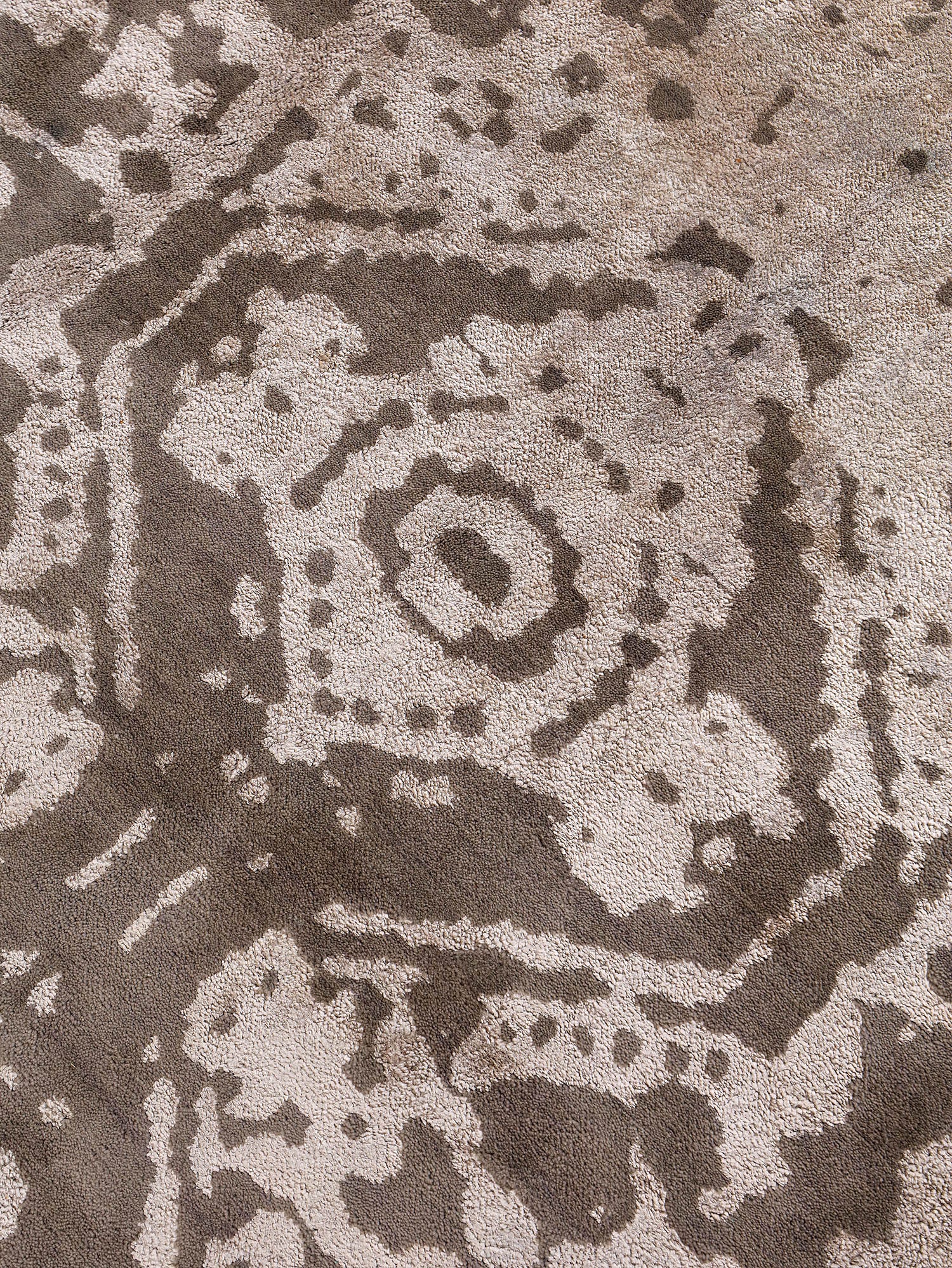 Contemporary Transitions - 25262