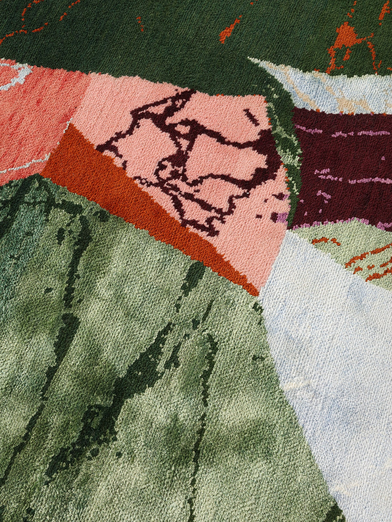 The Living Delta - 25238