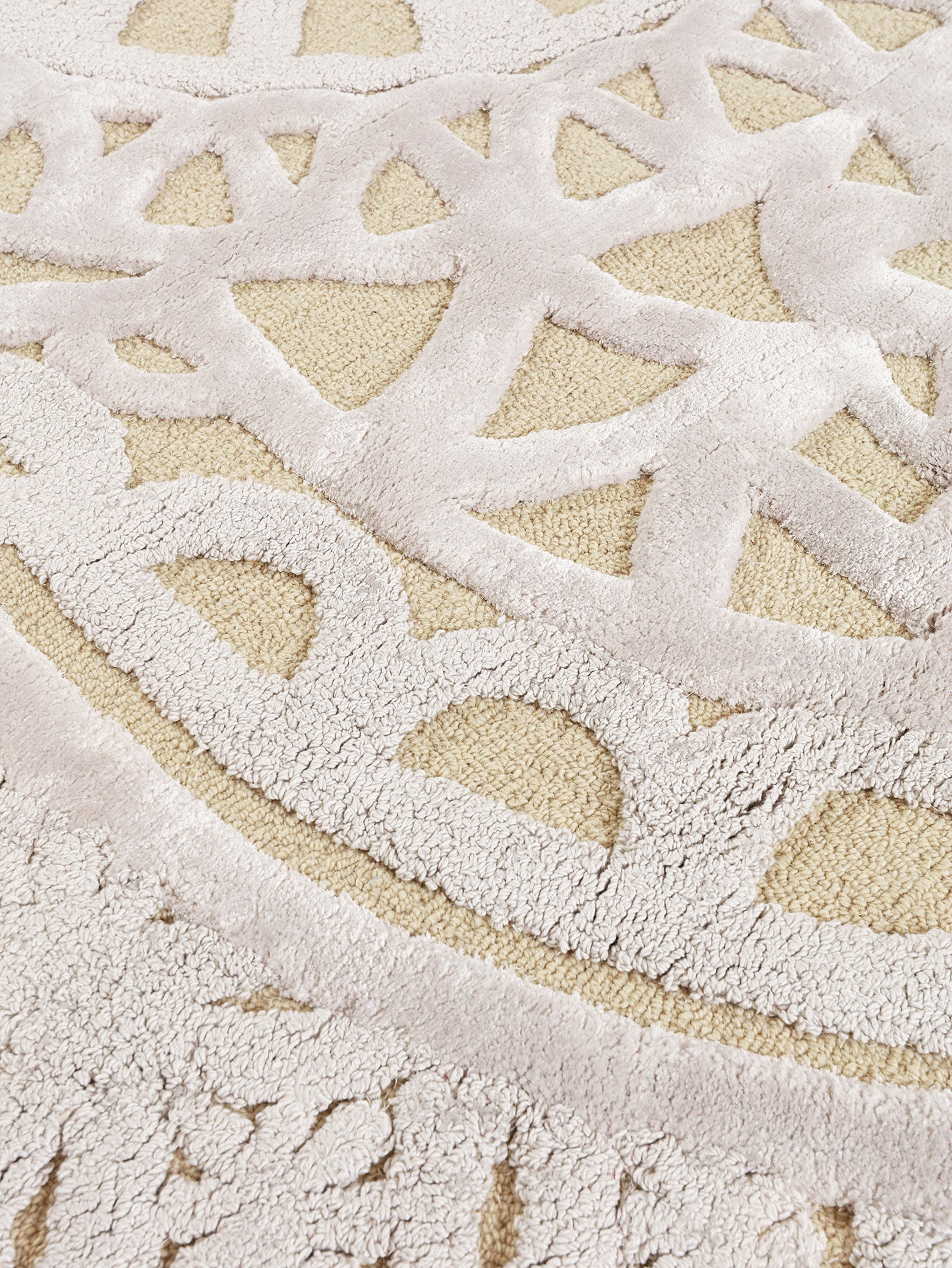 The Divine Collection