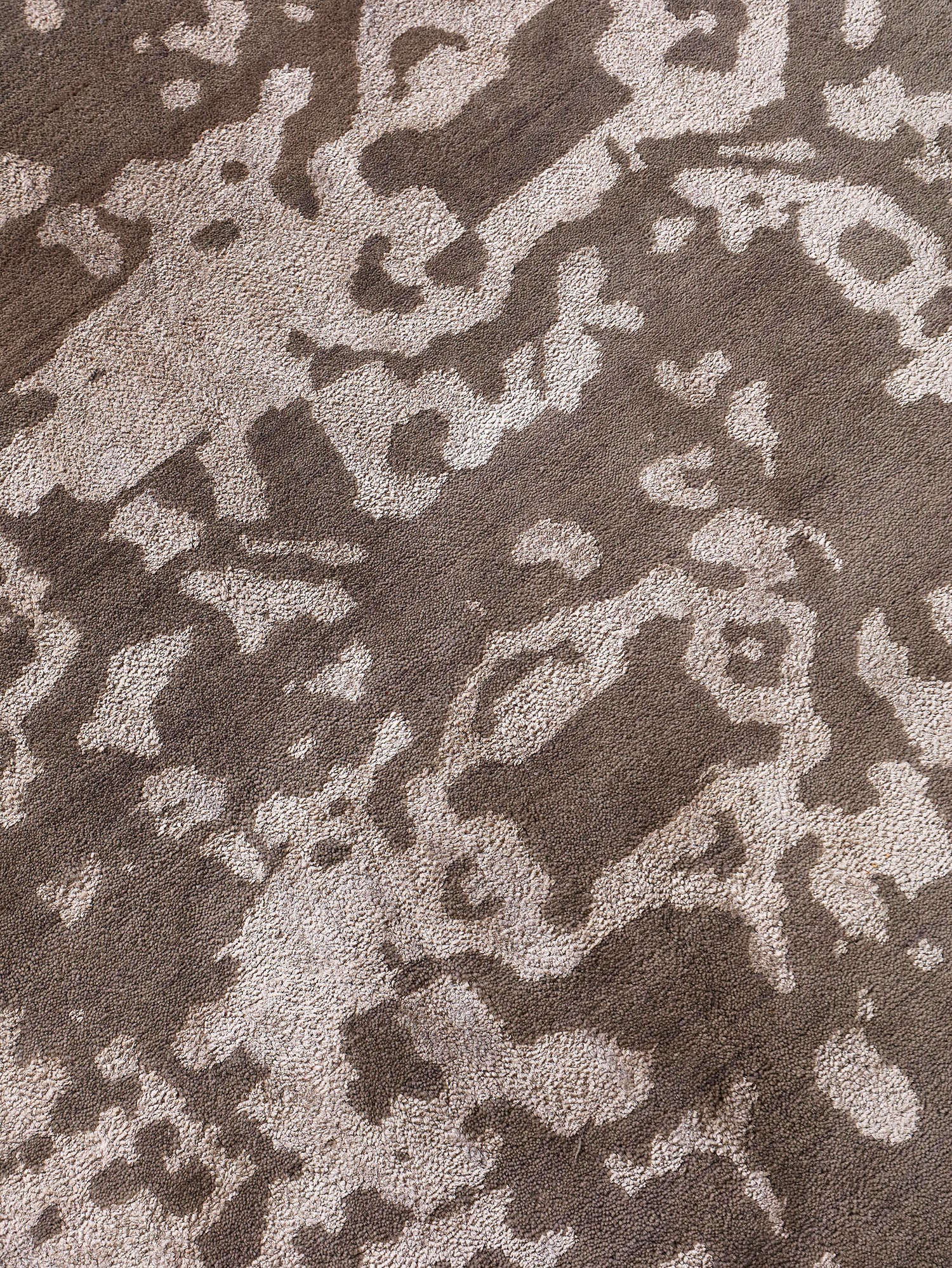 Contemporary Transitions