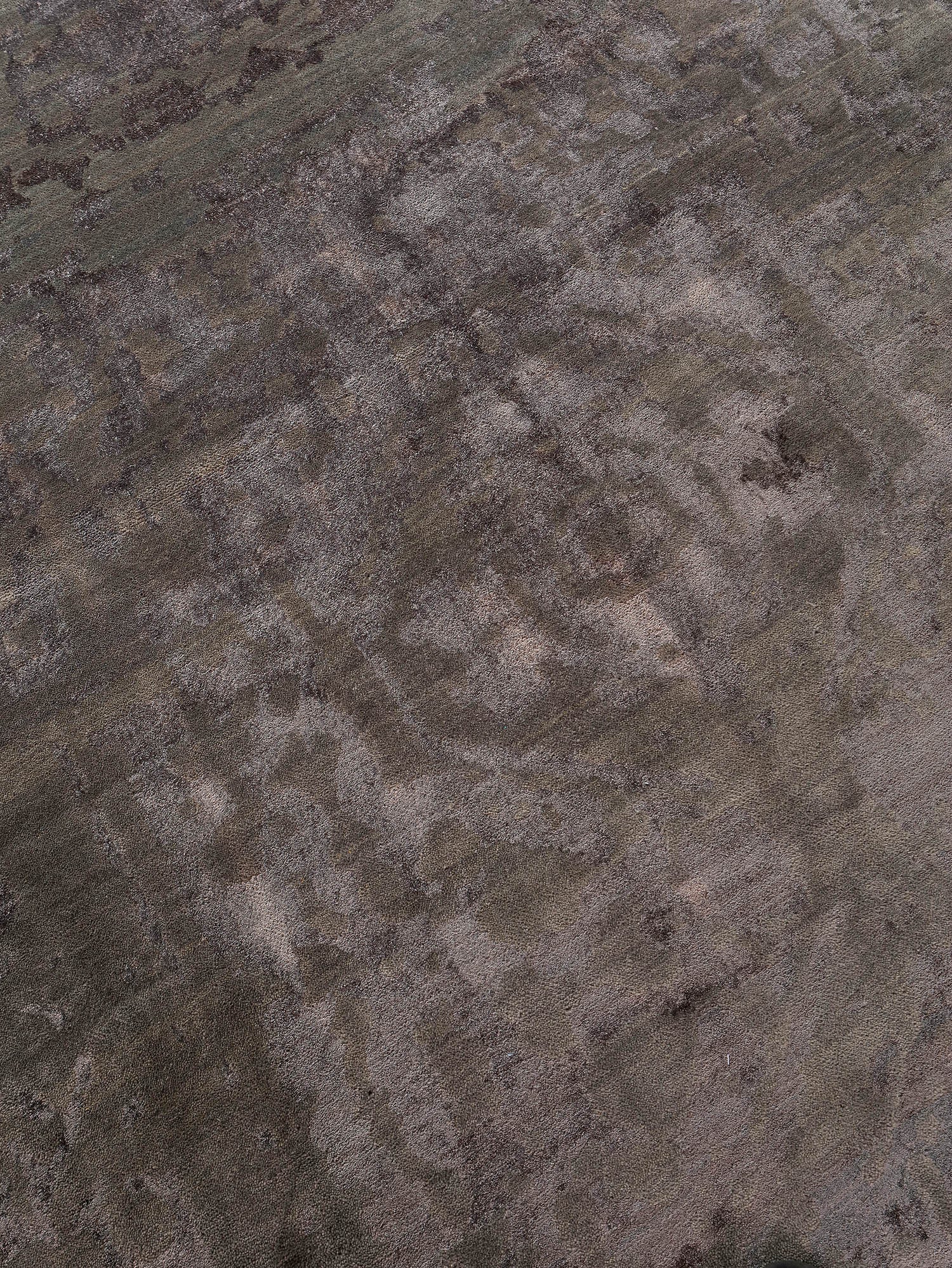 Contemporary Transitions