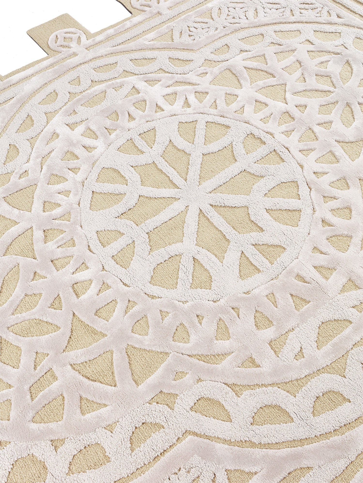 The Divine Collection