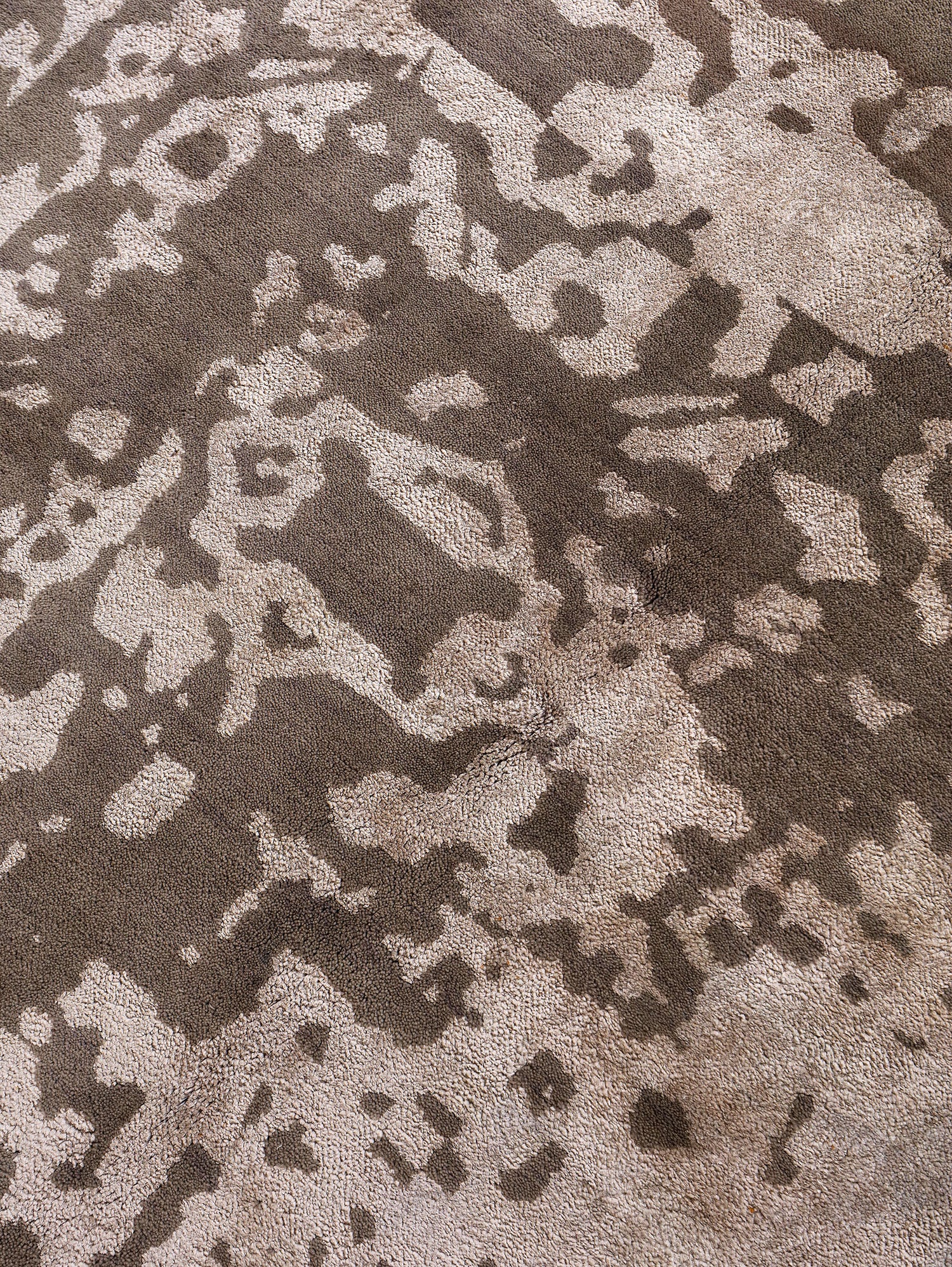 Contemporary Transitions