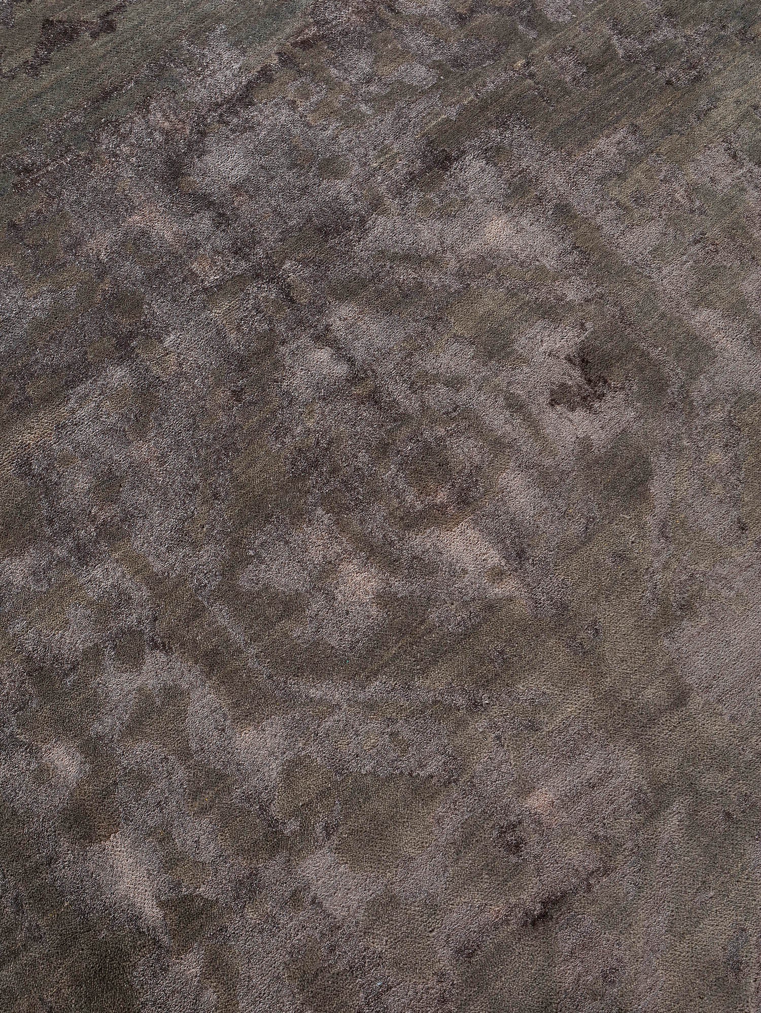 Contemporary Transitions