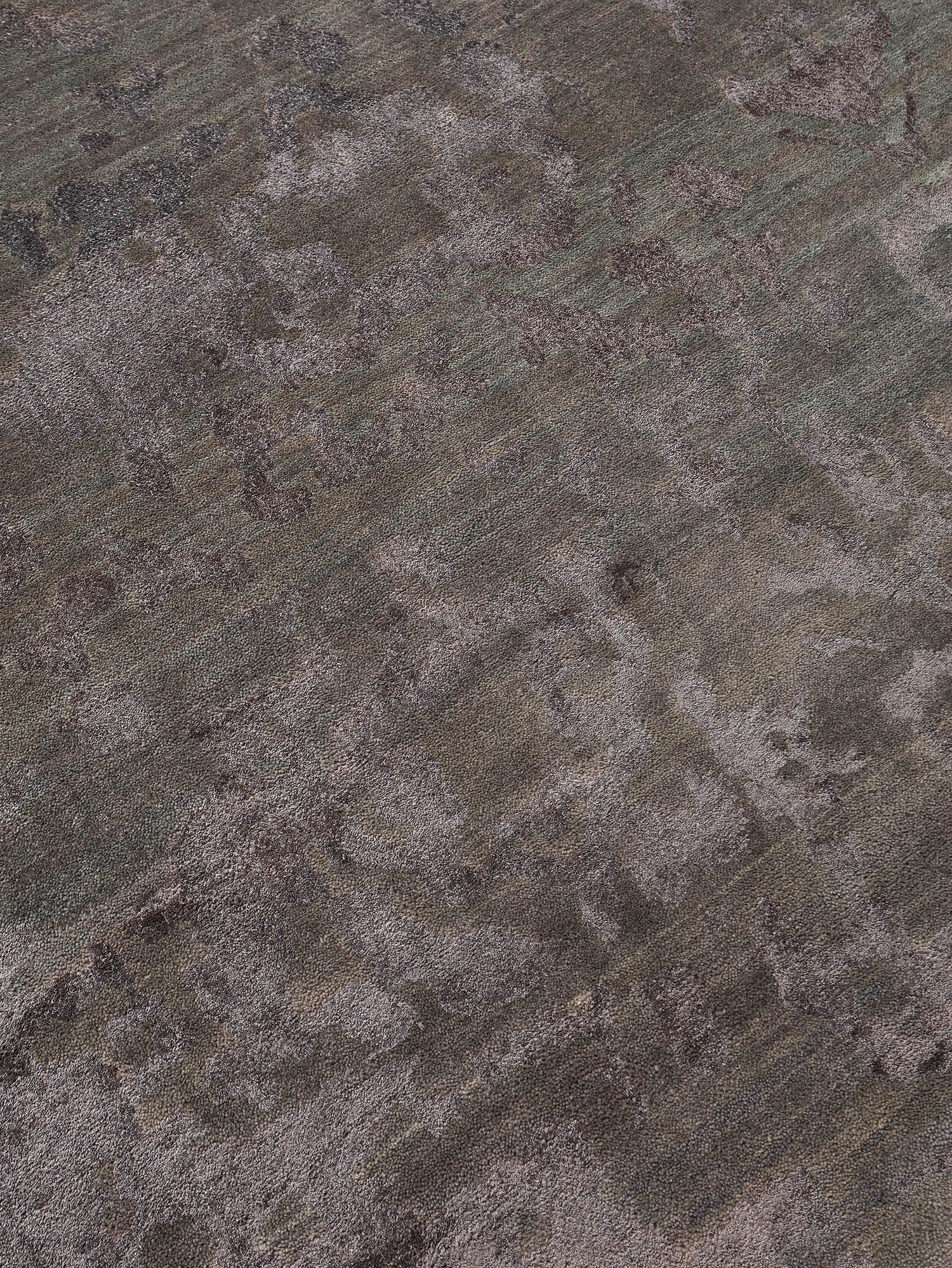 Contemporary Transitions