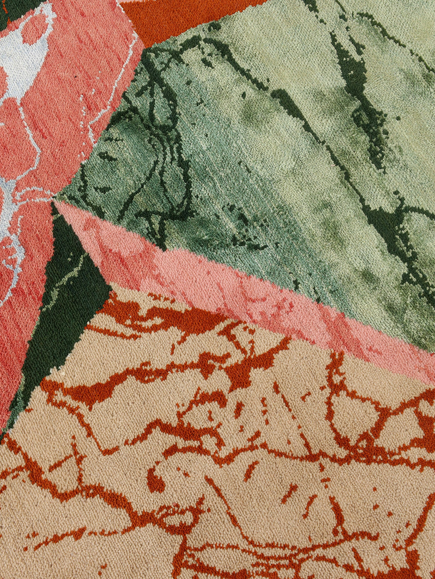 The Living Delta - 25238