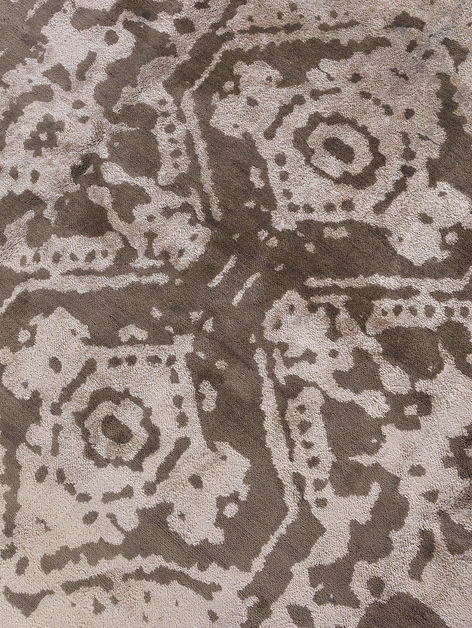 Contemporary Transitions