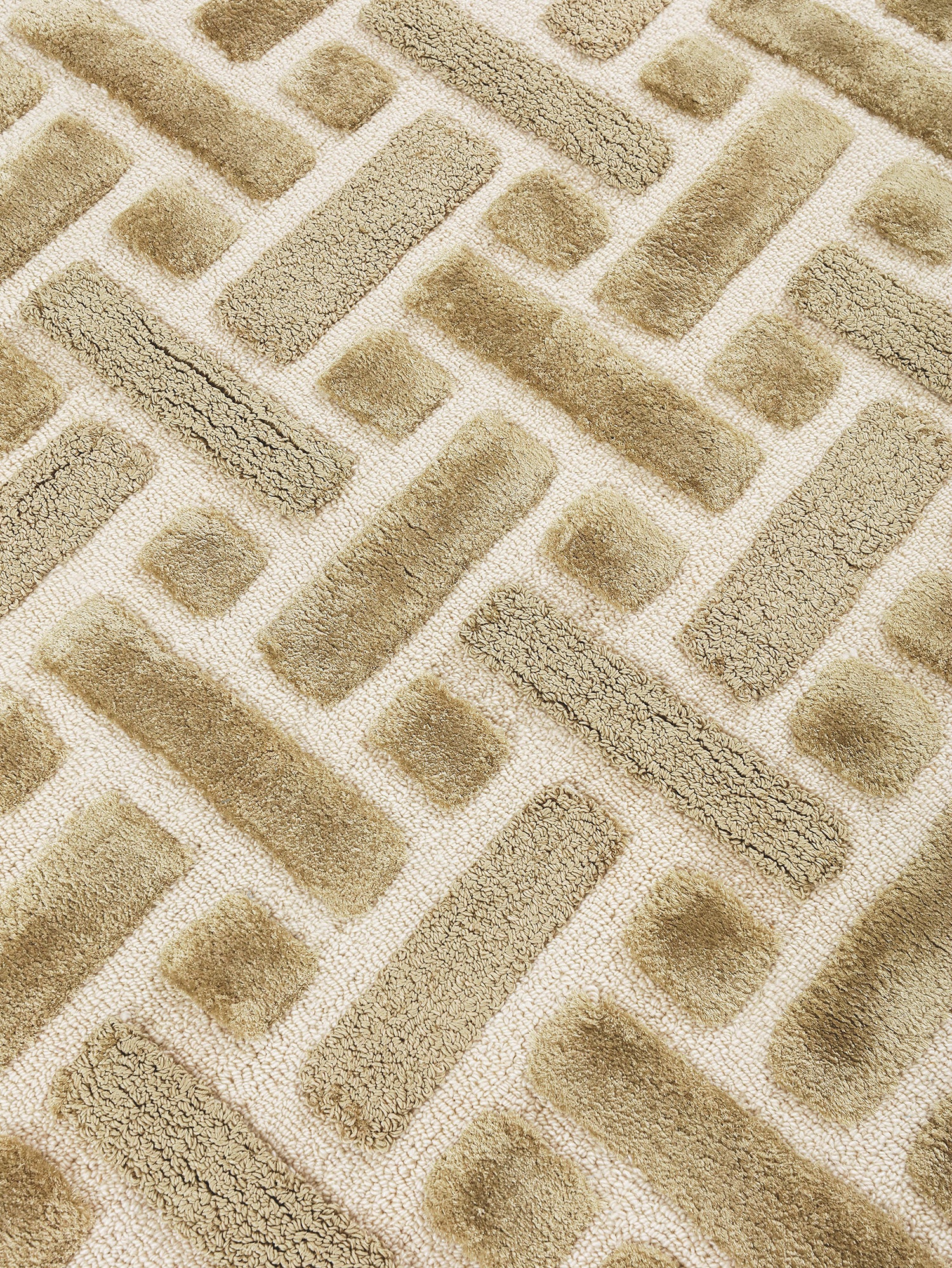 The Divine Collection